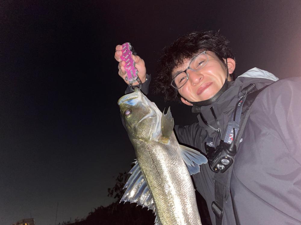 シーバスとニゴイ