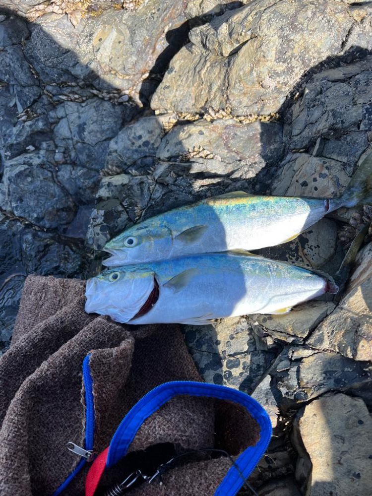 サイズアップはまだ先かなぁ〜