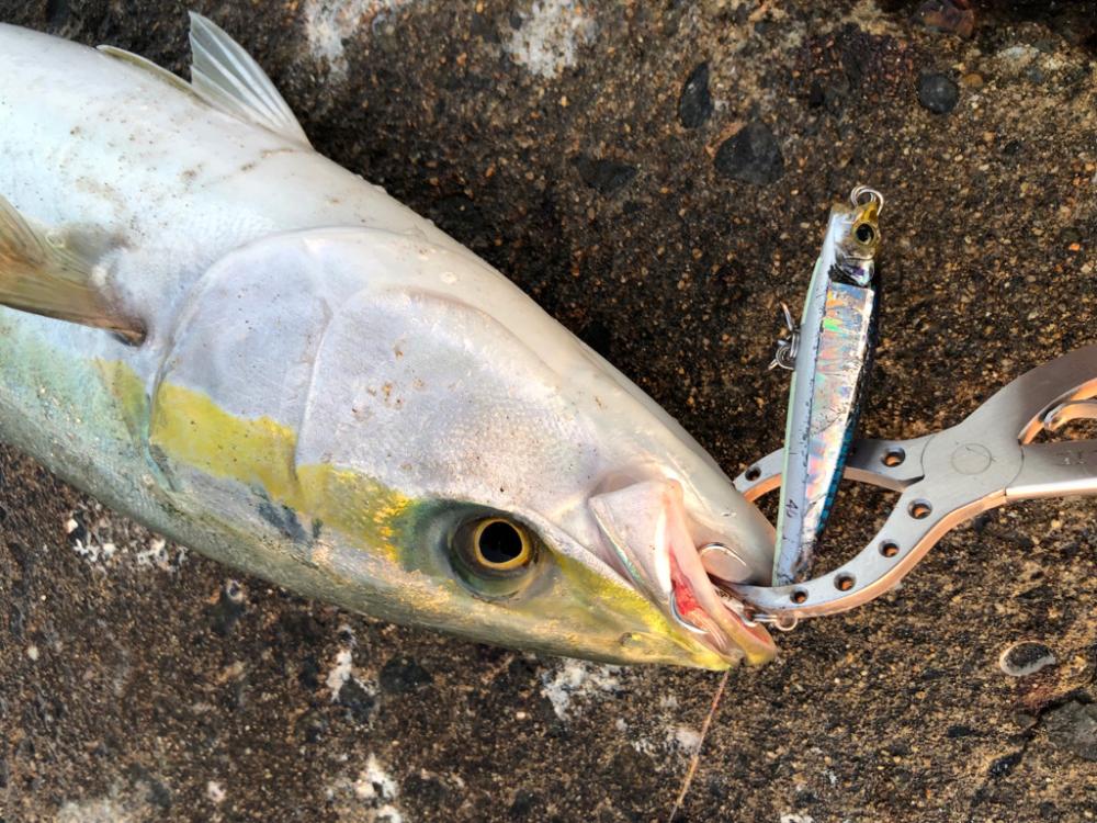 ボイル狙い撃ち