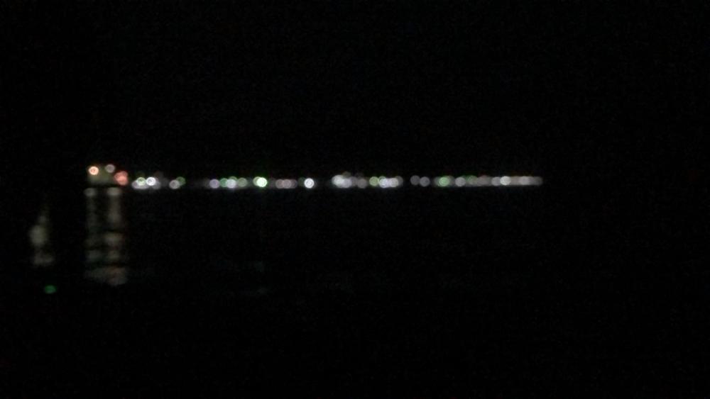 久しぶりのサゴシ