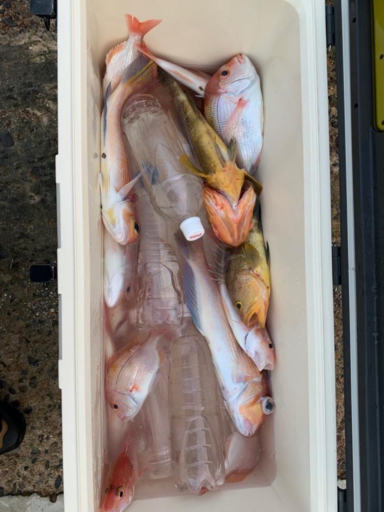 マイボートでアマダイ釣行！