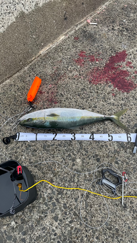 雨にも負けず☔️