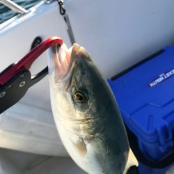 久しぶりの船釣り！