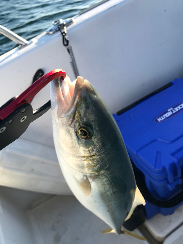 久しぶりの船釣り!