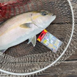雨の中の釣り堀海恵