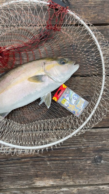 雨の中の釣り堀海恵