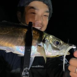 11月のボートアジング