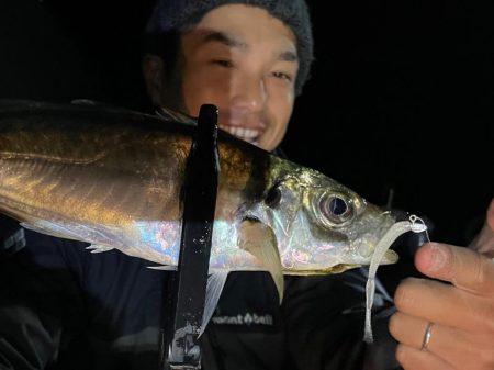 11月のボートアジング