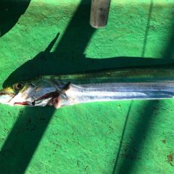 タチウオテンヤ