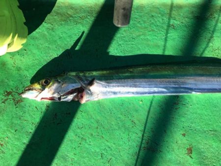 タチウオテンヤ