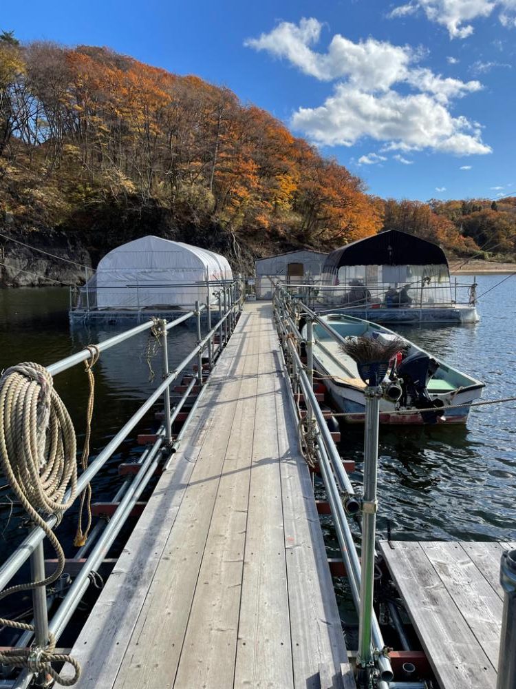 ドーム船ワカサギ釣り