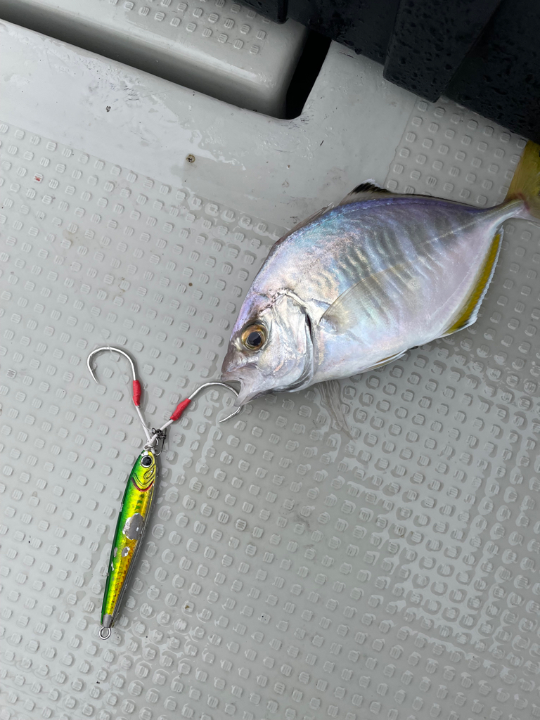 丹後沖　ライトジギング