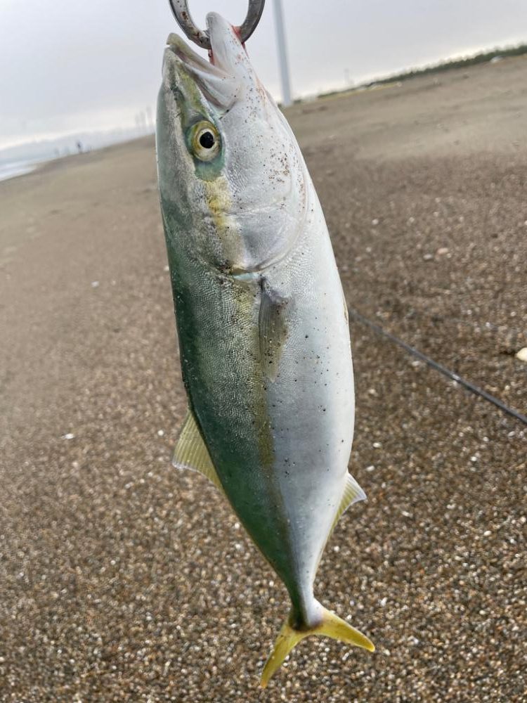 秋田県北サーフ