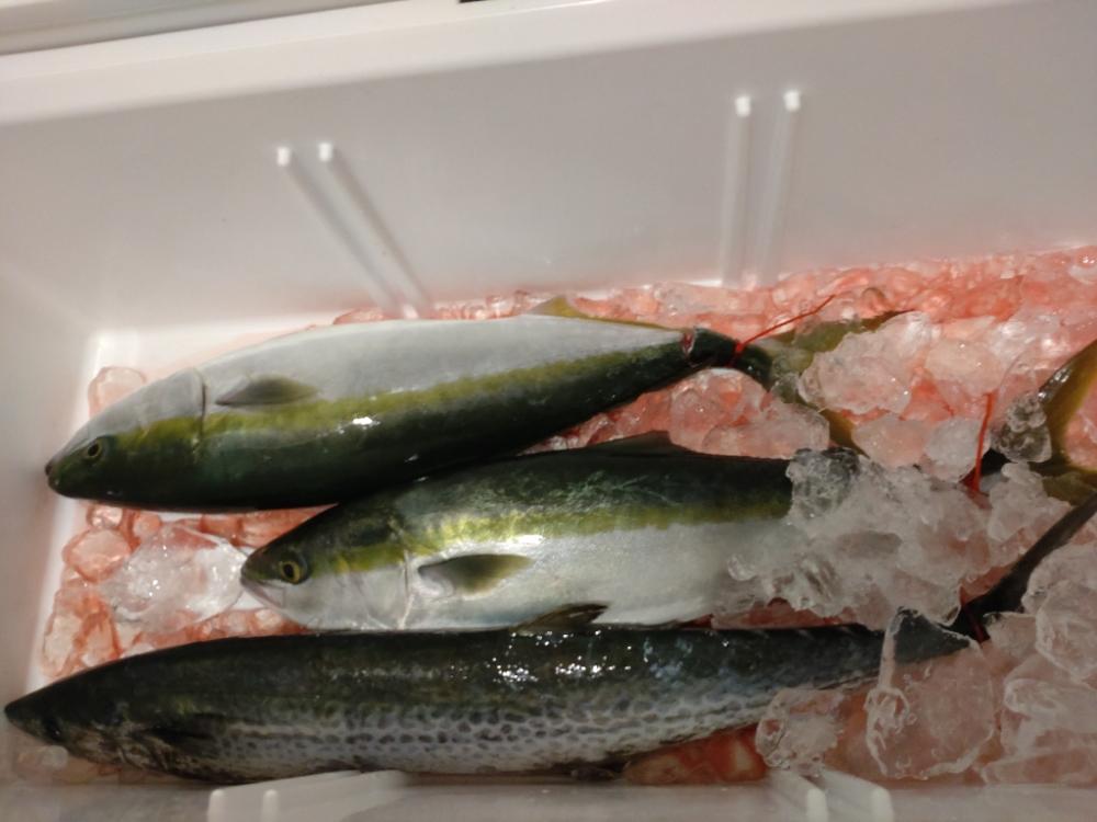 最後の最後に本命