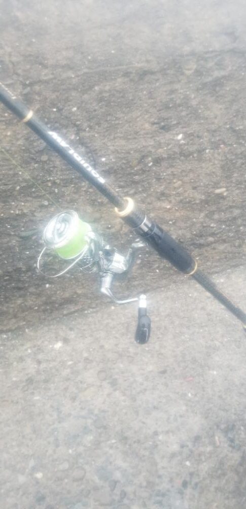 エギング　雨で途中で終了