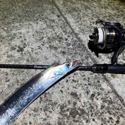 無限豆アジング時々F2タチウオ