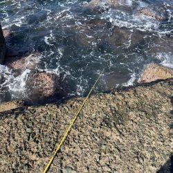 穴釣りファミリーフィッシング