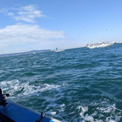 二回目の船タチウオテンヤ