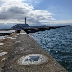 悲劇からの奇跡