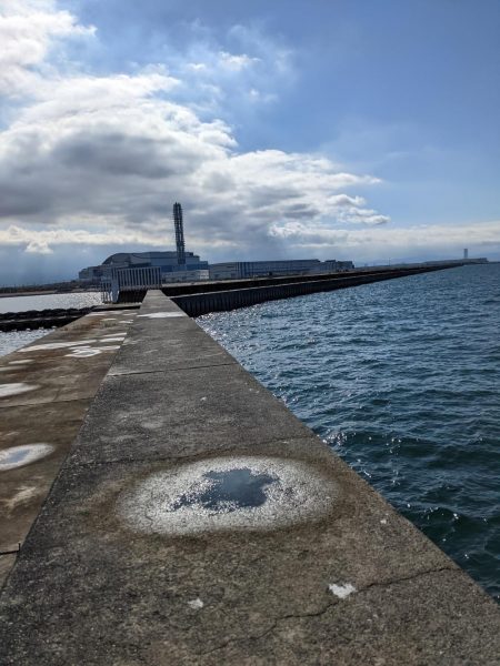 悲劇からの奇跡