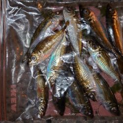 時間帯が難しいね