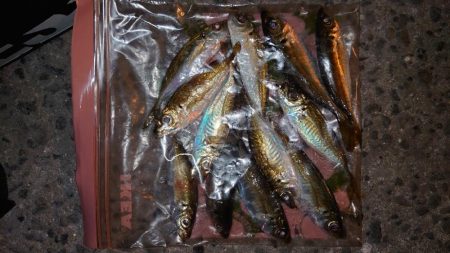 時間帯が難しいね