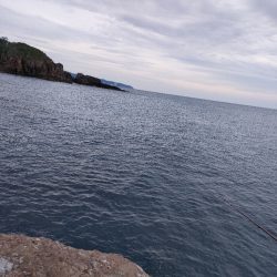 11/17釣果　アカハタ！