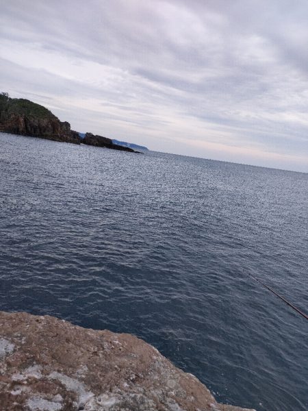 11/17釣果　アカハタ！