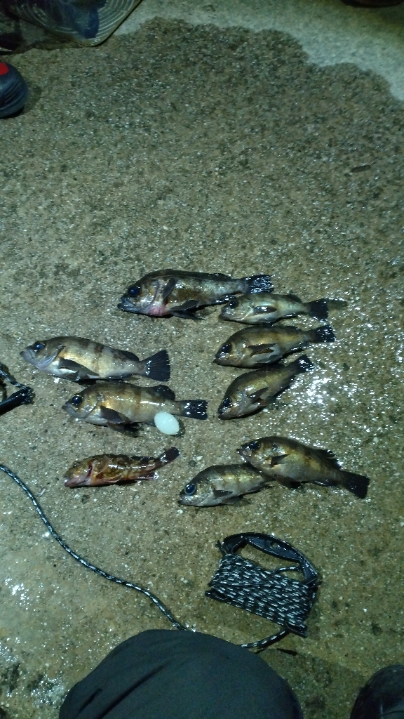 フロートメバリング