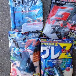 和歌山市江(吉丸渡船)で磯フカセ