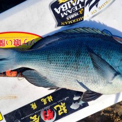 和歌山市江（吉丸渡船）で磯フカセ