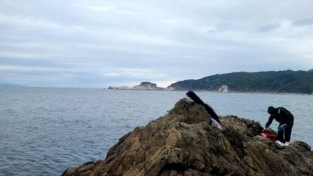 和歌山大引の磯でフカセ釣り