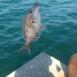 釣れなくても 楽しい