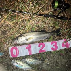 ががっときました。