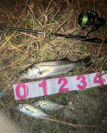 ががっときました。