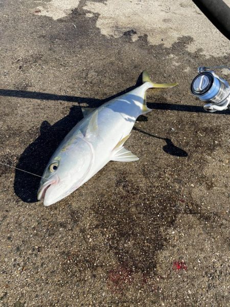 今日も、絶好調でした。