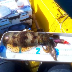 まさかのヒラマサ