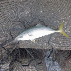 朝の猛打賞は8時から