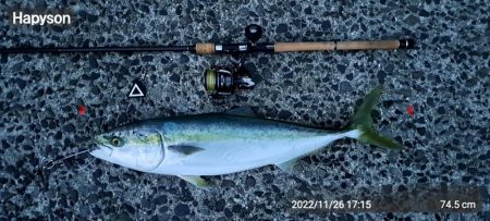 お久しぶりです