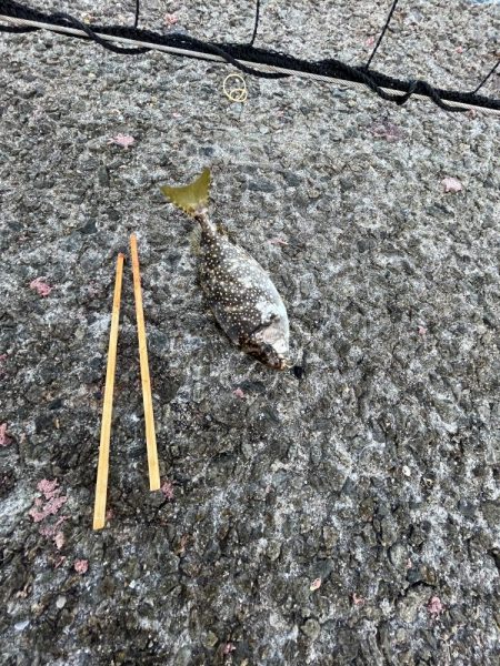 オールノーヒット