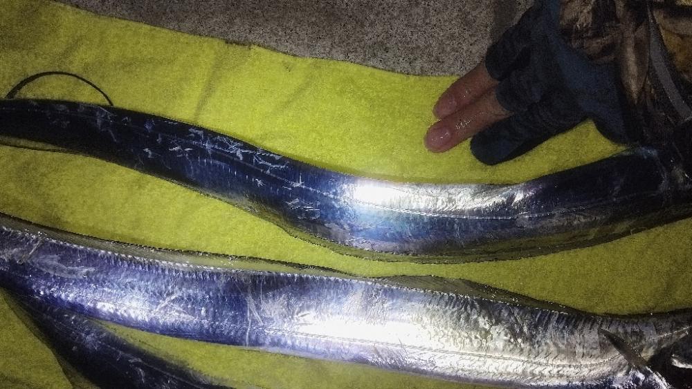 まだまだイケそう