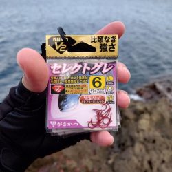 そろそろシーズン突入！？