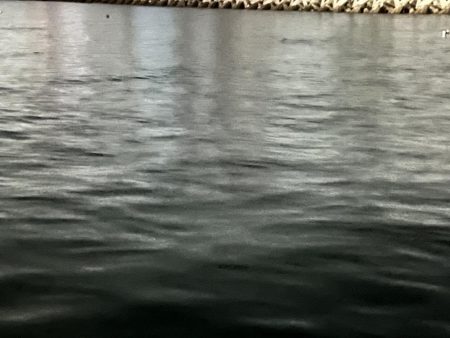 昨日と同じ場所で