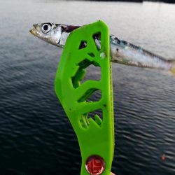 夜明けまでが勝負