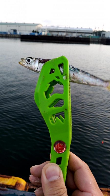 夜明けまでが勝負