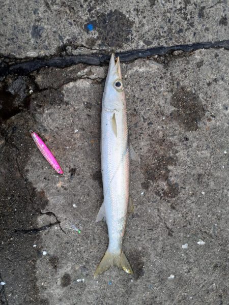 冷たい雨の釣り