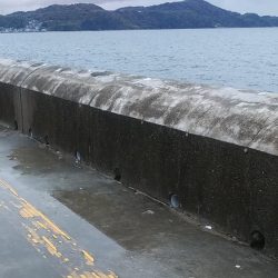 マリーナシティ青物