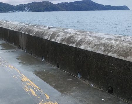 マリーナシティ青物