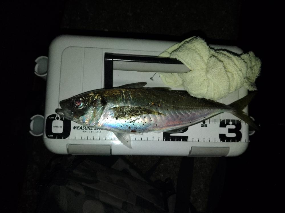 (尺アジ)フロートゲーム~