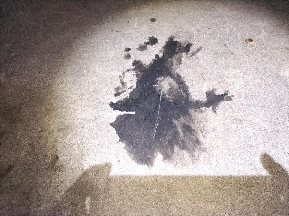 観光港にて調査報告！